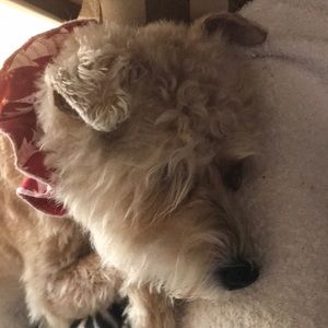 Meet your Posher, Tim